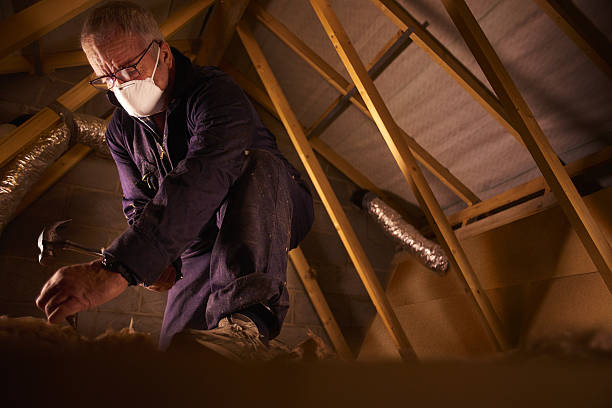 Best Insulation Maintenance and Repair in Graham, WA